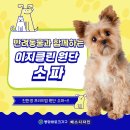 반려동물과함께하는#설렘 | 🐶반려동물과 함께하는 이지클린 원단 소파🐶