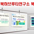 하브루타 문해력 이미지