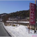 대봉사슴 Daum카페