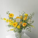 온화앤유 이미지