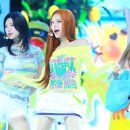 빠밤 스타데일리뉴스 