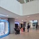 마곡 코엑스 대한민국 어린이 박람회 후기