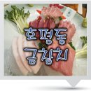 금참치 이미지
