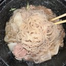 펫사이드코리아(PETSIDEKOREA) | 이케맨쨩 오이데~💕💕