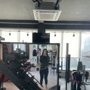 피티# 노빠꾸짐 이미지