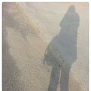 상학돌담길마을 이미지