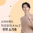 [남부] 의류제작 중급 | 자코모 컬래버스토어 서산점 - 좋은 가죽이란? 자코모소파가 알려드리는 천연 소가죽 가이드