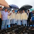 완도13호 이미지