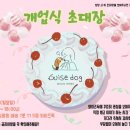 와이즈독 아카데미 이미지