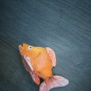 이지미술교습소