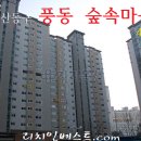 숲속마을로 Daum카페