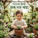 원예문화진흥원(주) | 2026 태안국제원예치유박람회 일정부터 할인정보까지 총정리
