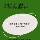 다채몽드