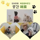 공간 페로 이미지