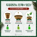 앙포레모리노헤어 네이버블로그