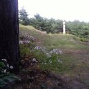 송양초등학교 이미지