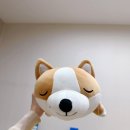 마법의손의원 이미지