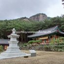 선림식당 이미지