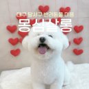 몽심살롱 이미지