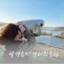 사문진교 | 대구 아이와 가볼만한곳 달성습지 생태학습관 방문기