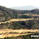 (주)블루버드시스템 이미지