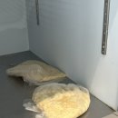 [안양제과제빵학원] 더원바리스타 &amp; 제과제빵학원 얼그레이 스콘 만들기 도전 성공!!🥮🥛❤️