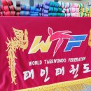 국가대표태인태권도장 이미지