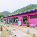 오천항수산물판매센터 이미지