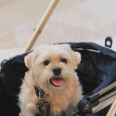 감귤박물관 야외화장실 이미지