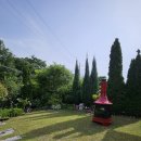 보리네 뜰 이미지