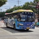 중앙초교 사거리 이미지