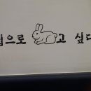 생활커피 이미지