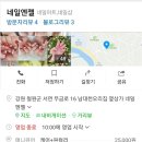 엔젤 인셀덤
