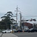 전주 한옥마을 먹거리, 교동 십원빵 / 또간집 길거리야 / 카페 달곰 추천!
