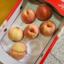 향백 - 정읍시 벚꽃로 85 | 유여사 복숭아: 대홍🍑 /경산농부의아내: 미향백도🍑후기