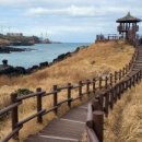 닭머르해안길 이미지