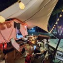 비치스토리 이미지