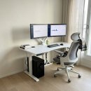 루나PC | 루나랩 모션데스크 후기, 허리 아픈 직장인 사무실'이 조합'이 정답인 이유