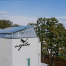 미갈루펜션 이미지