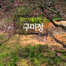 반딧불이황토펜션 이미지