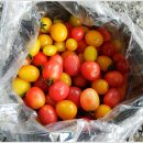 백암한우농장 이미지