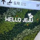 6월의 제주도 여행기
