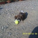 솔비농장 이미지