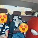 알파목장 이미지