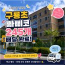 구룡초등학교 | 남양주 학교 아이스크림 단체배달｜구룡초 빠삐코 245개 배송 완료