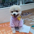 청강유치원 이미지