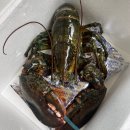 정씨네한우 이미지