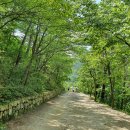 새소리 물소리 이미지