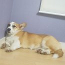 송산헬스 이미지