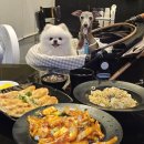 이향원 | 군포 애견동반 맛집 이향원 중국집 가성비 최고 내돈내산 후기